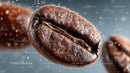 Macro Close-Up of a Single Roasted Coffee Bean