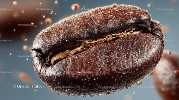 Macro Shot of a Roasted Coffee Bean with Detailed Texture