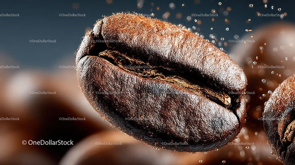 Macro Shot of a Single Roasted Coffee Bean