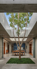 Modern Concrete Home with Indoor Tree and Skylight