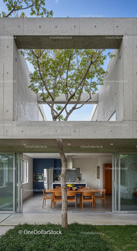 Modern Concrete Structure with Outdoor Dining and Tree Canopy