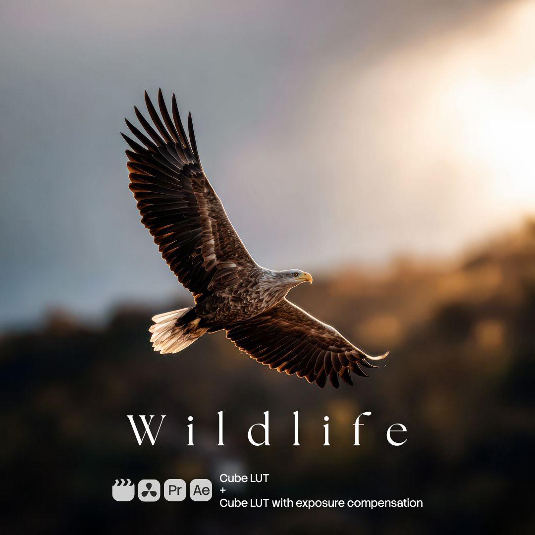 Wildlife (2 LUTs)