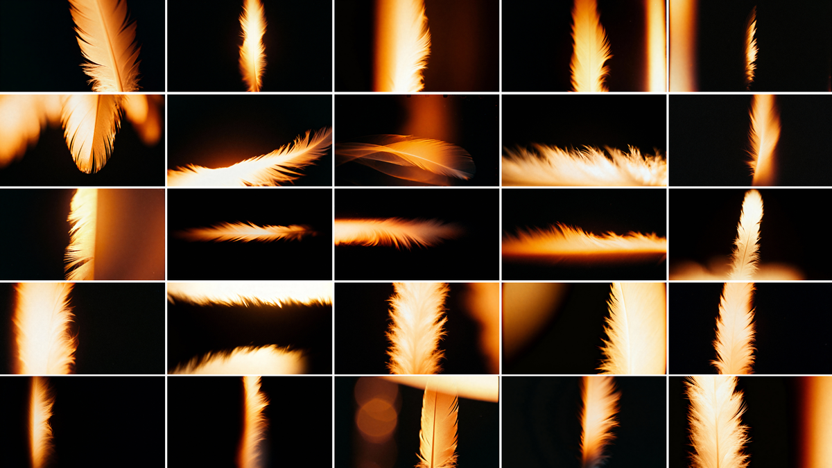 Warm Feathers Photo Overlays preview 5