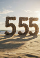 Large Number 555 Made of Twigs on Sandy Beach