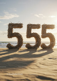 Large Number 555 Made of Twigs on Sandy Beach
