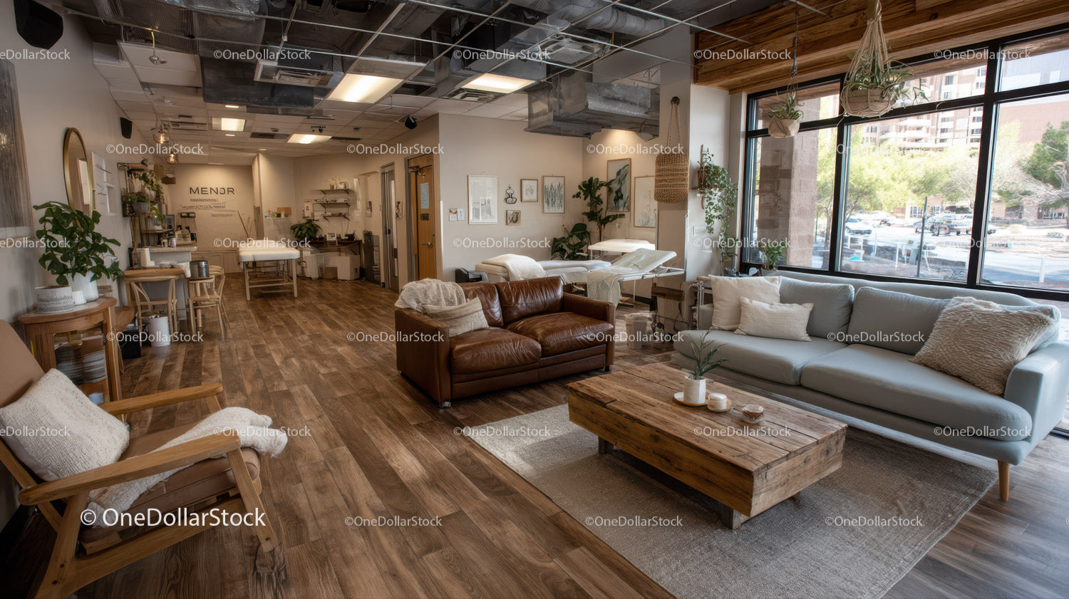 Modern Lounge with Natural Light, Wooden Flooring and Green Plants