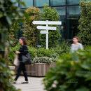 Blank Direction Sign in Modern Urban Garden Space