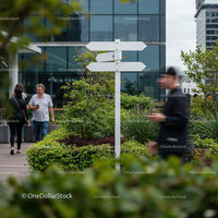 Urban walkway with directional signpost and greenery