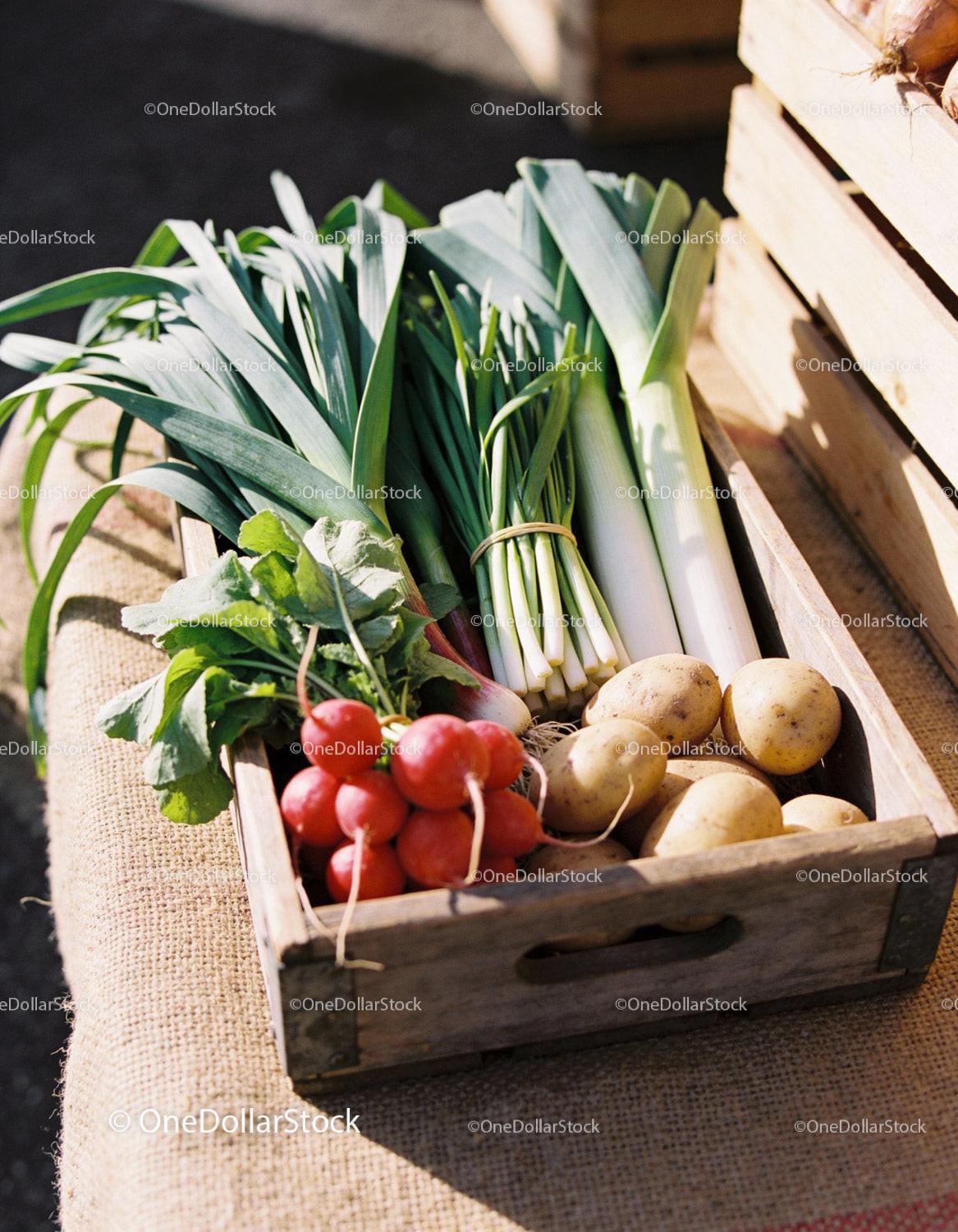 Fresh Garden Vegetables in Rustic Wooden Crate