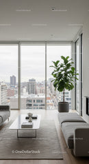 Modern Living Room with Large Window and Indoor Fiddle Leaf Fig Plant