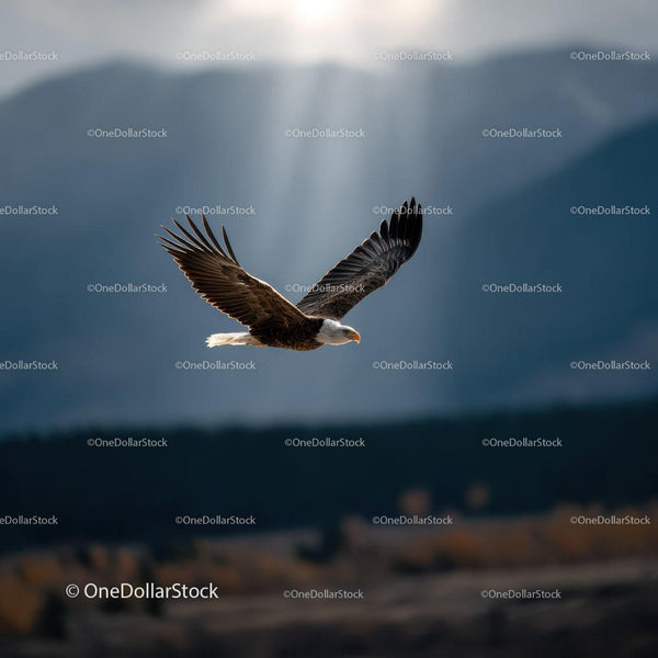 Majestic Bald Eagle in Flight Over Mountain Landscape