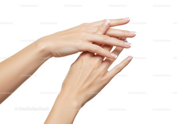 Eleganckie dłonie z francuskim manicure na białym tle