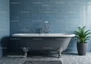 Classic Clawfoot Bathtub with Green Plant in Blue Bathroom