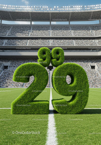 Green Percentage Symbol and Number Twenty Nine on Stadium Field