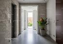 Modern minimalist hallway with potted plant and natural light