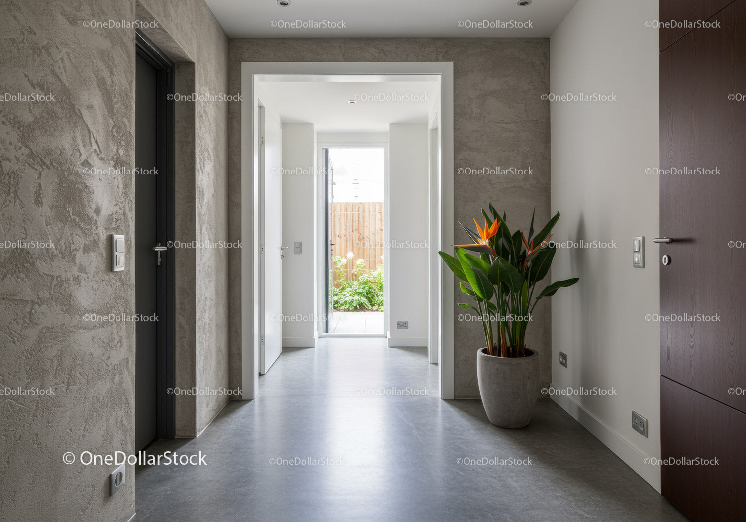 Modern minimalist hallway with potted plant and natural light
