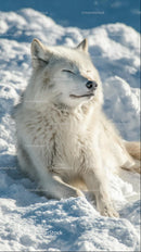 Arctic Wolf Relaxing in Beautiful Snowy Landscape