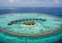 Overwater Bungalows in Turquoise Ocean with Palm Trees and Scenic View