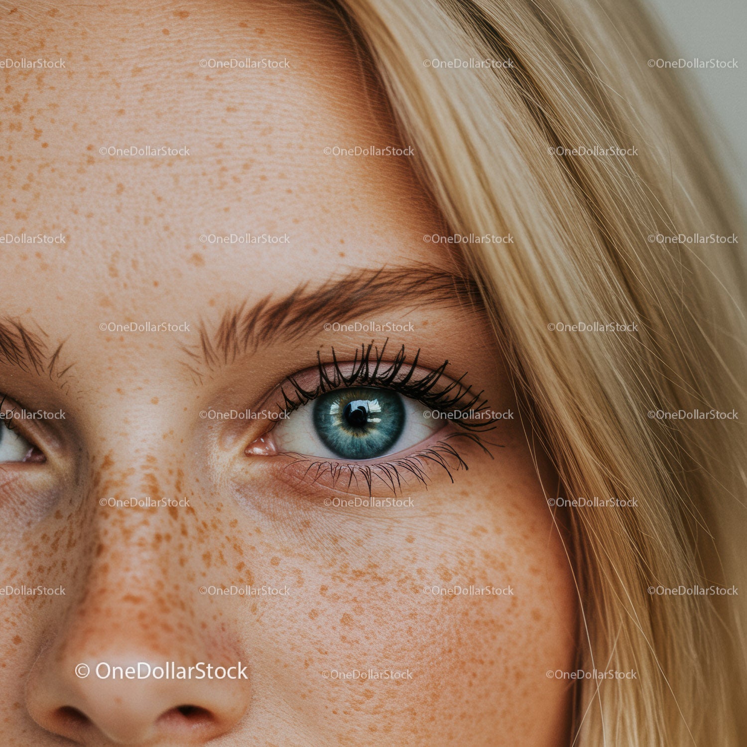 Close up of blue eye with natural freckles and blonde hair