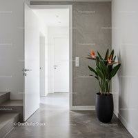 Modern Interior with Potted Tropical Plant and Gray Wall in Entryway