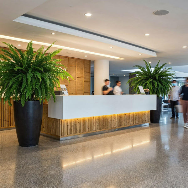 Modern hotel reception desk with lush green plants JPG Mockup Image