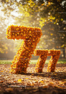 Autumn Numbers Seven Made of Yellow Leaves Outdoors