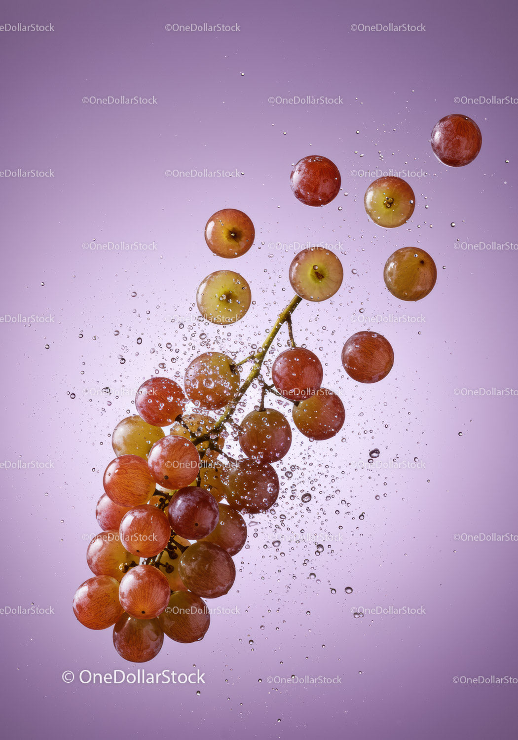 Fresh red grapes immersed in sparkling water splash