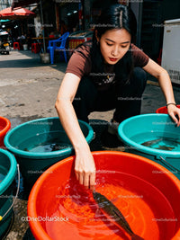 Young woman selecting fish in colorful street market tubs