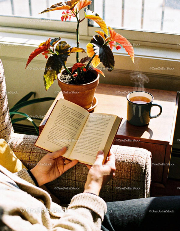 Person enjoying a cozy moment reading with hot tea