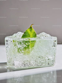 Green leaf encased in a clear ice cube closeup