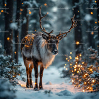 Majestic reindeer standing in snow with glowing lights