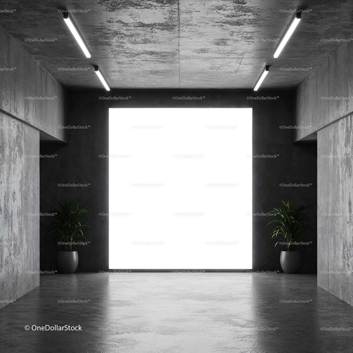 Minimalist concrete interior with large illuminated window