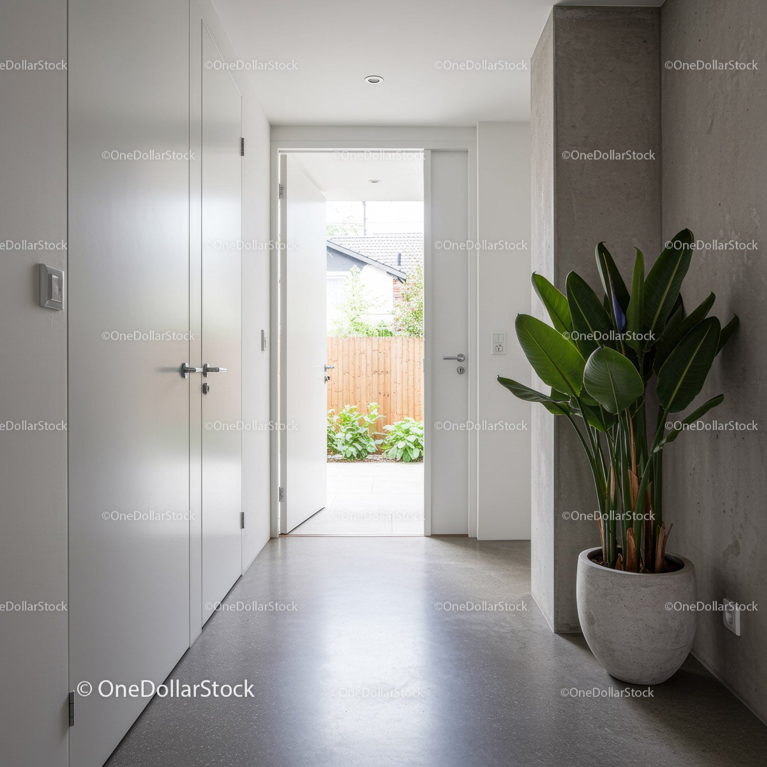 Modern Minimalist White Door Entrance with Indoor Plant and Concrete Wall