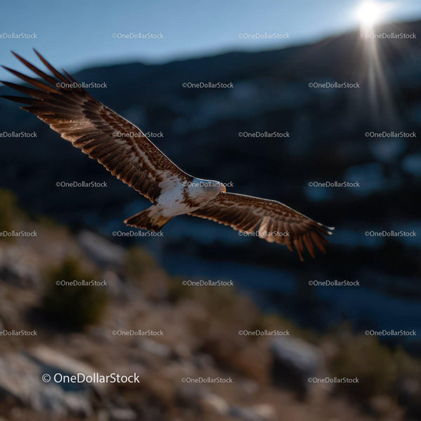 Majestic Bird of Prey Soaring Over Mountain Landscape at Dawn