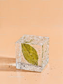 Green leaf frozen inside a clear ice cube on beige