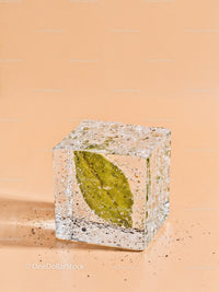 Green leaf frozen inside a clear ice cube on beige
