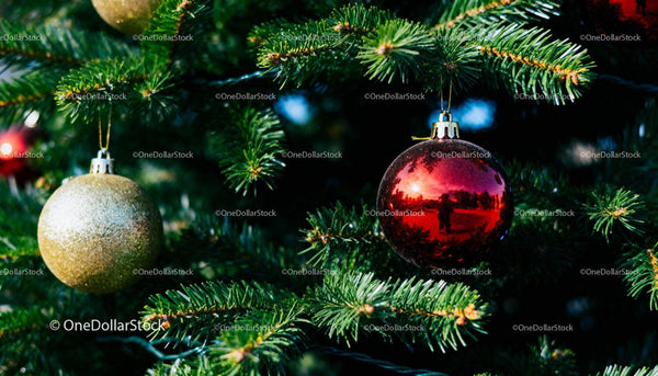 Close-up of Red and Gold Ornaments on Christmas Tree