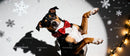 Playful dog with red bow tie in festive winter setting