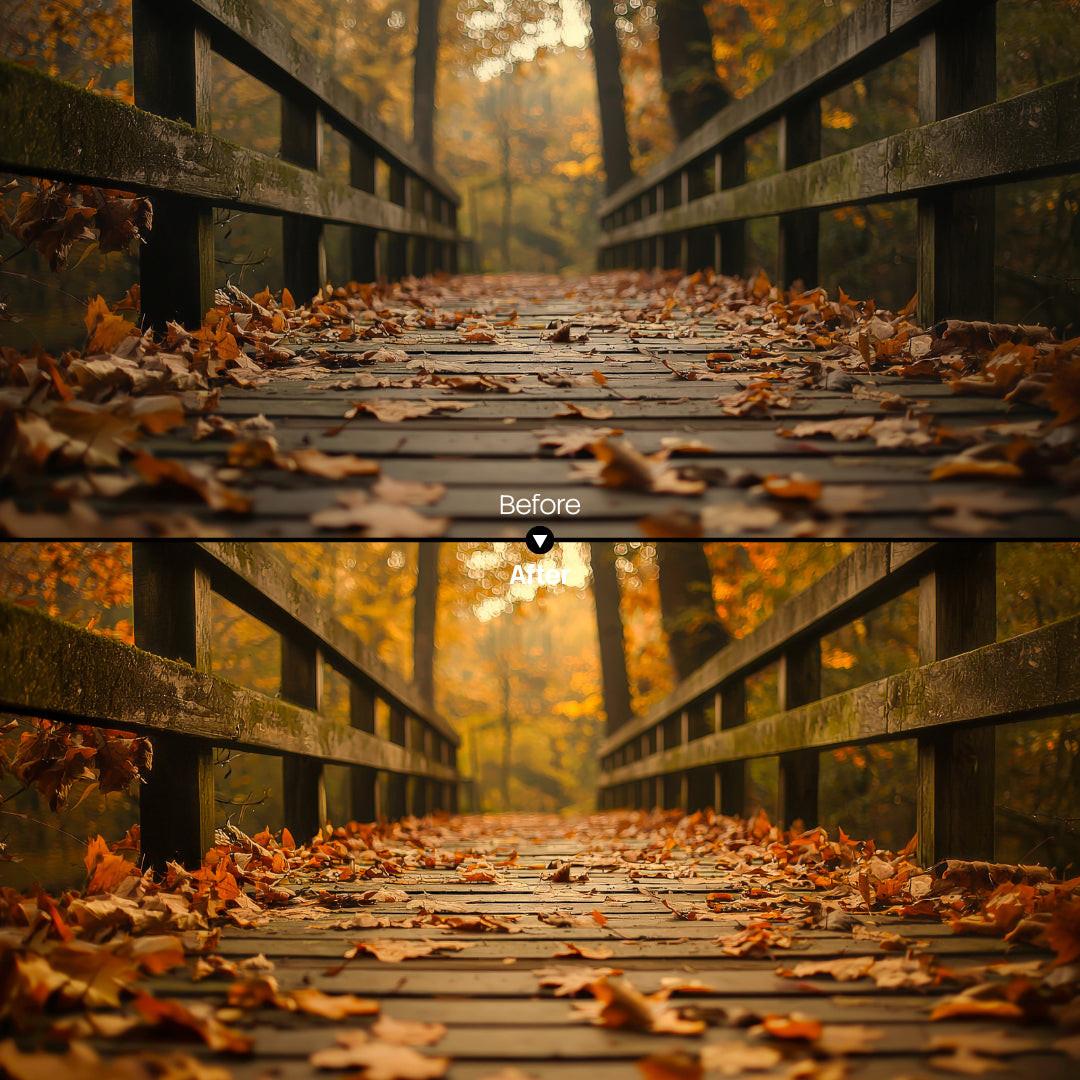 Before and after Golden Autumn Light LUT Pack effect