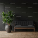 Modern Indoor Plant and Black Leather Sofa in Minimalist Living Room