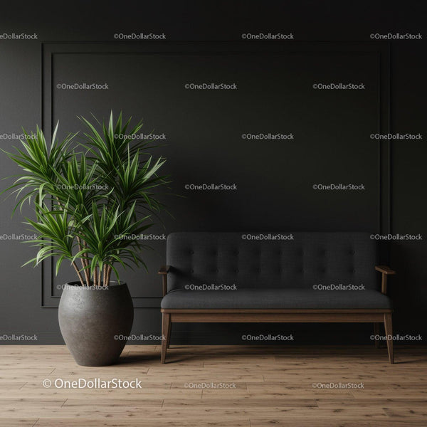 Modern Indoor Plant and Black Leather Sofa in Minimalist Living Room