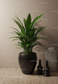 Lush Green Indoor Houseplant in Black Pot for Modern Interior Decor
