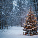 Snowy Christmas tree glowing in peaceful winter forest