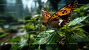 Vivid Butterfly with Orange and Black Wings Perched on Green Leaf