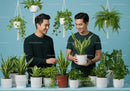 Two men enjoying houseplants in a bright studio