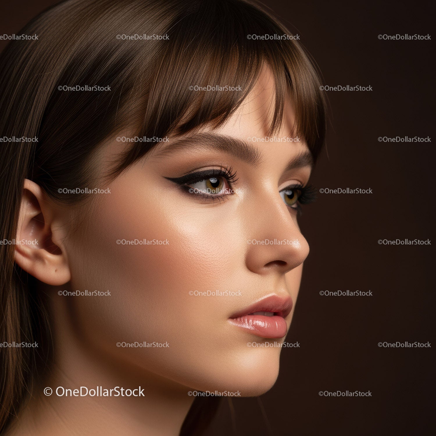 Close-up of Female Model with Perfect Skin and Elegant Makeup