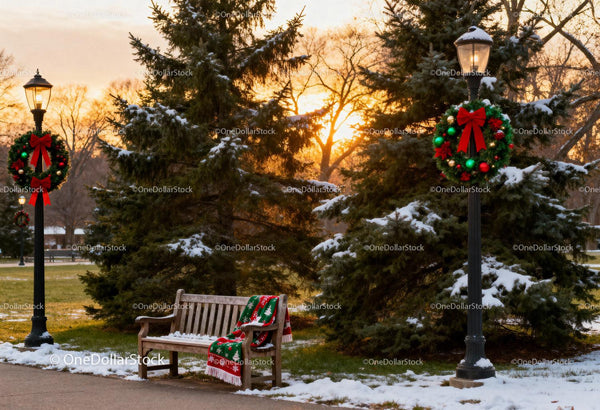 Winter park bench with festive Christmas decorations