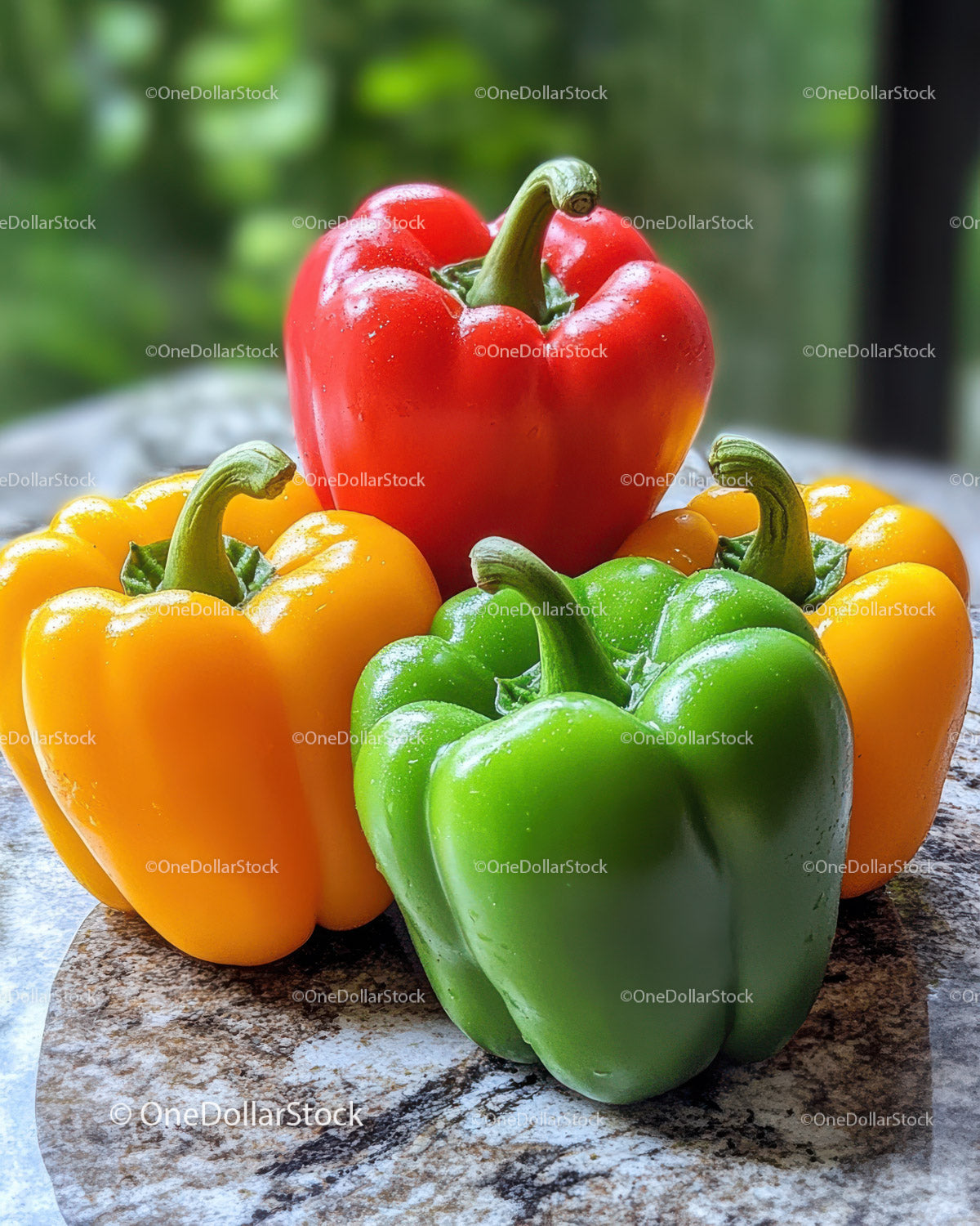 Vivid Bell Peppers in Red Yellow and Green for Healthy Eating