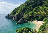 Tropical Beach with Rocky Cliffs and Palm Trees on a Sunny Day