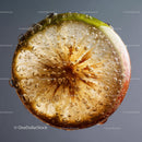 Close-up of a Fresh Lemon Slice with Bubbles and Bright Colors